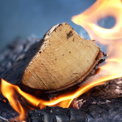 Beyond - On-going Monthly Support